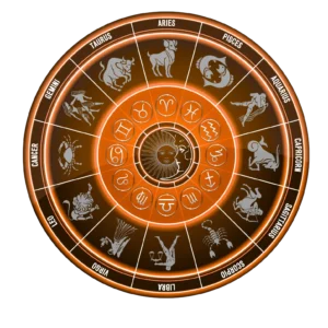 rishi Shandilya